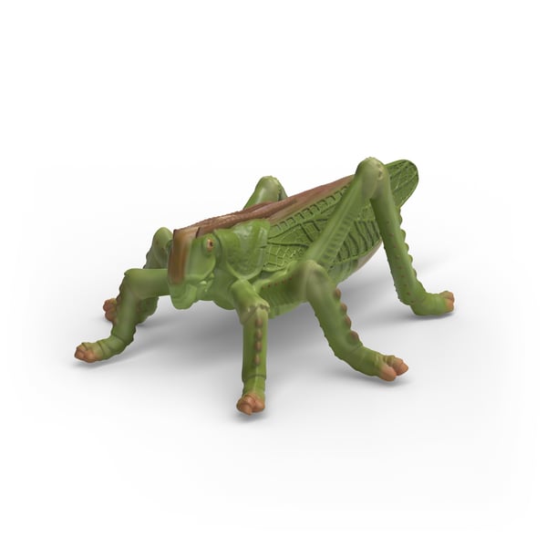 schleich I det vilda 42741 leksaksfigurer