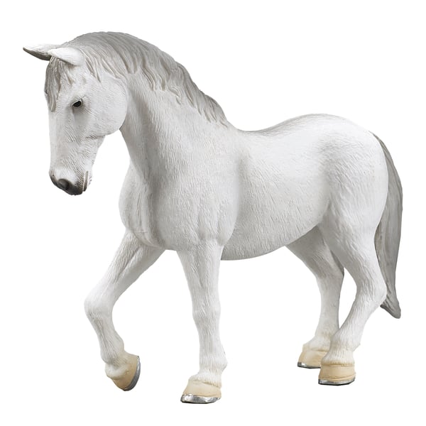Mojo Fun Lipizzaner Mare