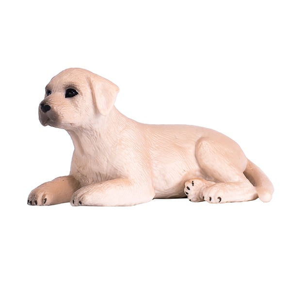 Mojo Fun Labrador Puppy