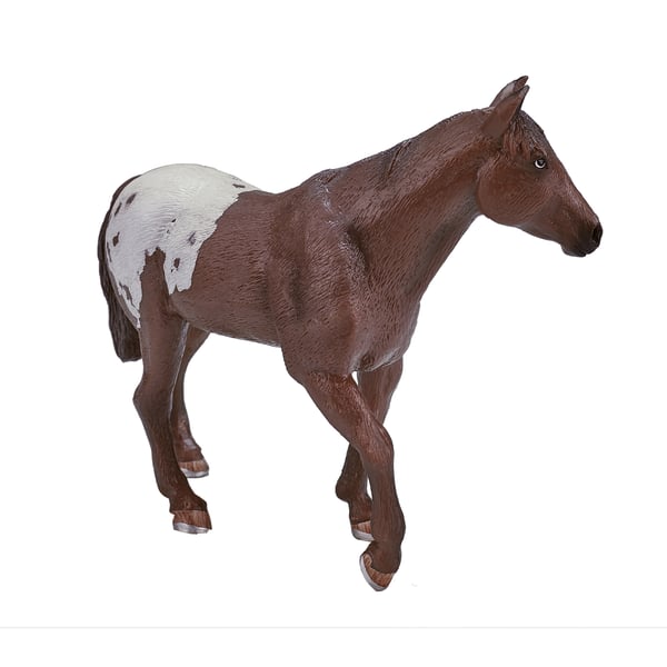 Mojo Fun Appaloosa Stallion Chestnut