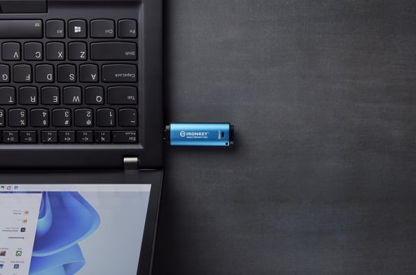 Kingston Technology IronKey 256 Gt USB-C Vault Privacy 50C AES-256-salaus, FIPS 197