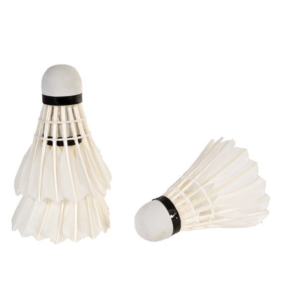 SportX 2004249 badminton ketsjer Gåsefjer Hvid