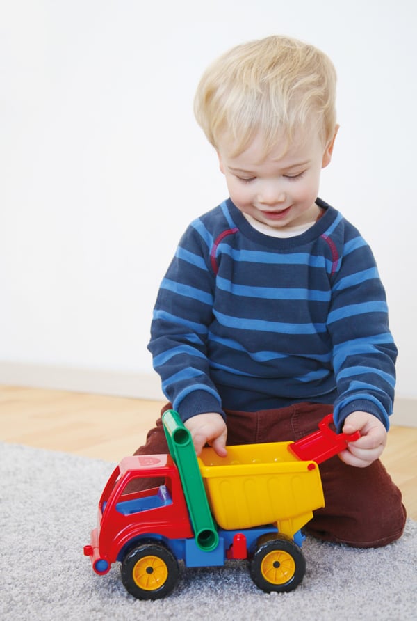 Lena Active Dump truck