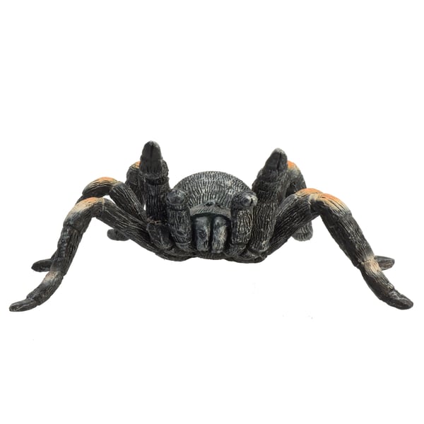Mojo Fun Red Kneed Tarantula
