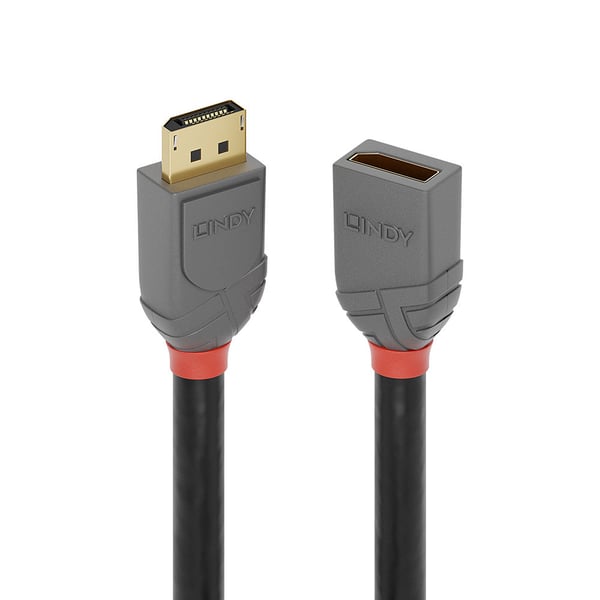 Lindy 36495 DisplayPort-kabel 0,5 m Svart