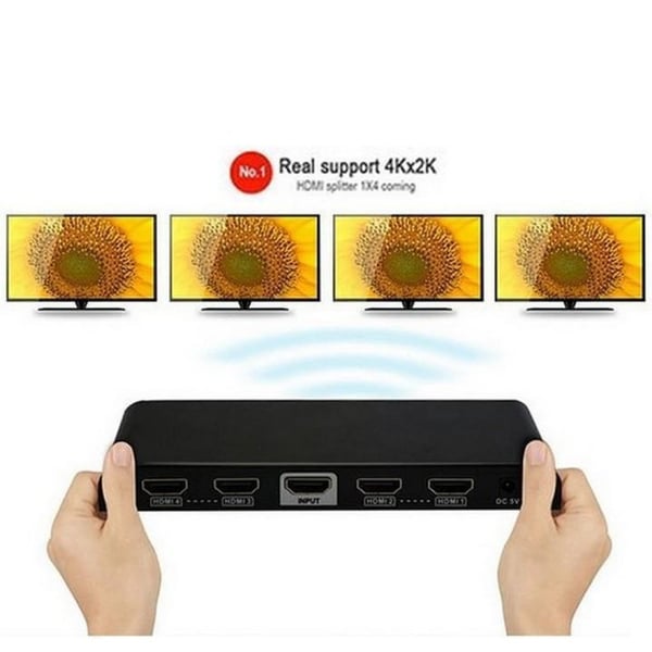 Techly IDATA HDMI2-4K4 videohaaroitin HDMI 4x HDMI