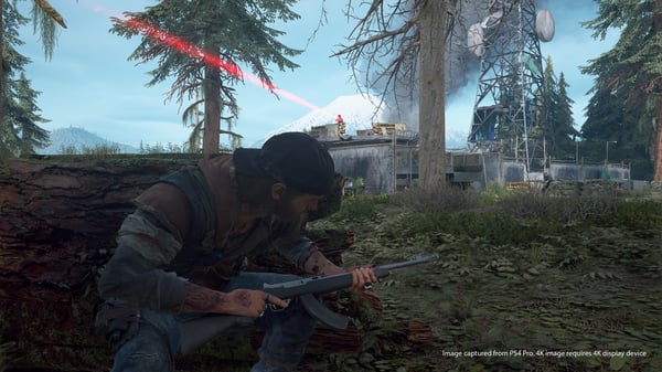 Sony Interactive Entertainment Days Gone Standard PlayStation 4