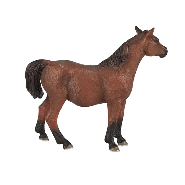 Mojo Fun Arabian Mare in Foal