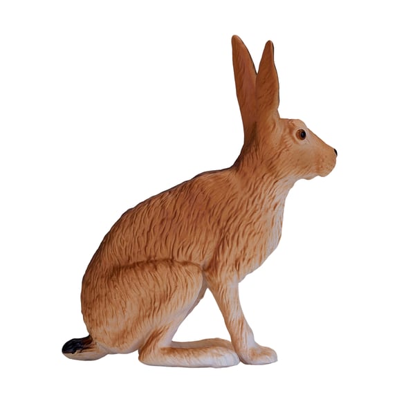 Mojo Fun Hare
