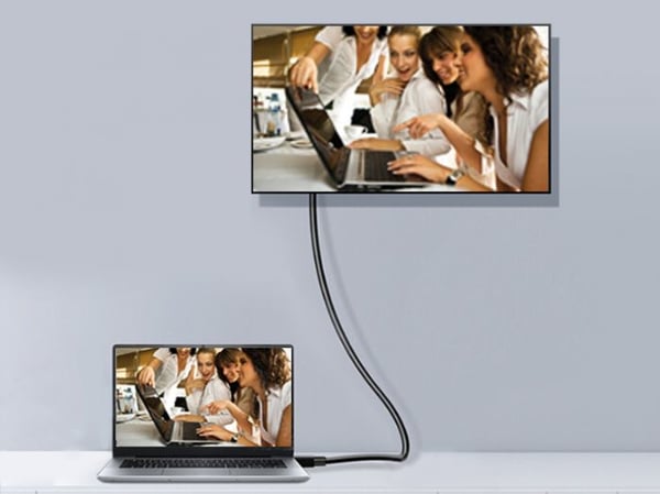 Equip 119255 DisplayPort-kabel 5 m Svart