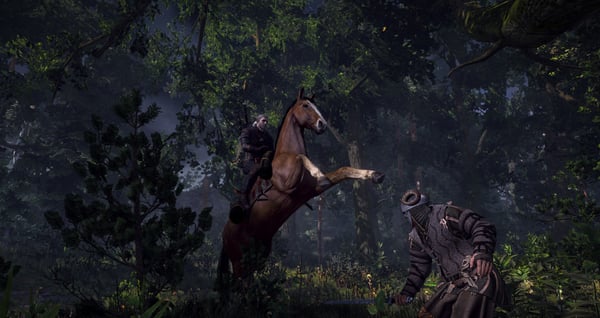 BANDAI NAMCO Entertainment The Witcher 3: Wild Hunt Game of the Year Edition, PS4 PlayStation 4