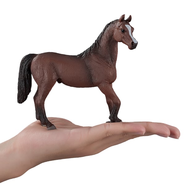 Mojo Fun Arabian Stallion Chestnut