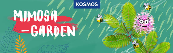 Kosmos 617509 børne videnskabssæt & legetøj