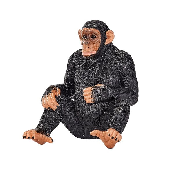 Mojo Fun Chimpanzee