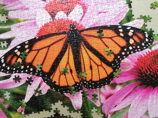 Tactic Monarch Butterfly 1000 pcs Kuviopalapeli 1000 kpl Eläimet