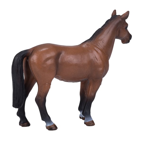 Mojo Fun Trakehner (Portugal)