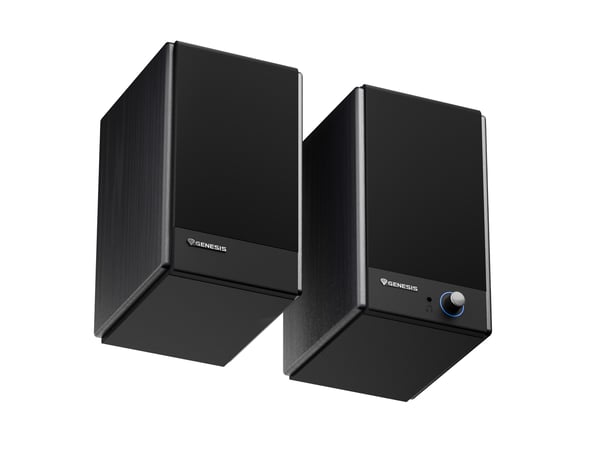 GENESIS ARSEN 502BT 2-vejs Sort Kabel & trådløs 60 W