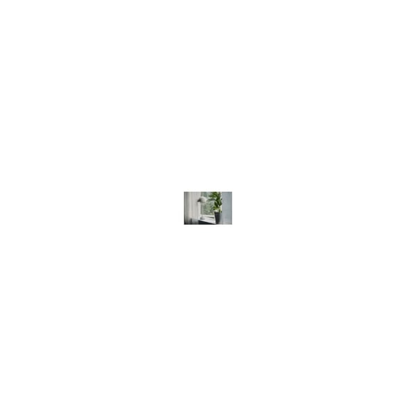 Electrolux EFWBTH3 Luftrenarfilter