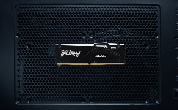 Kingston FURY Beast RGB