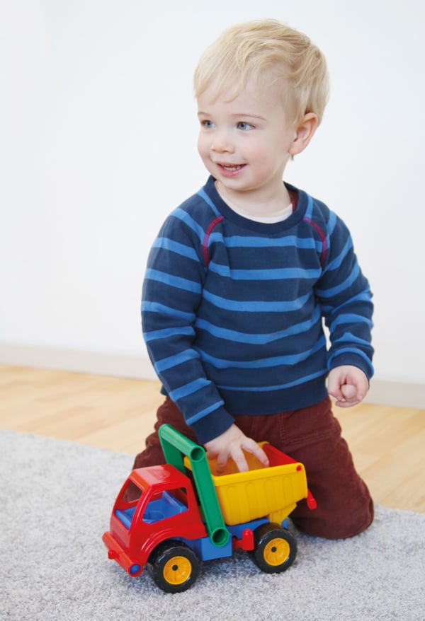 Lena Active Dump truck