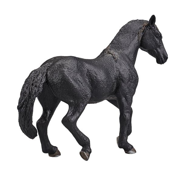 Mojo Fun Andalusian Stallion Black