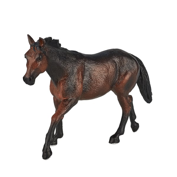 Mojo Fun Quarter Horse Sooty Bay