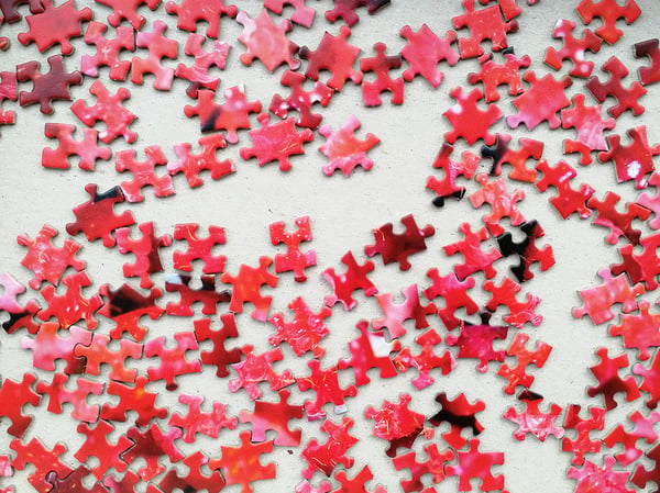 Tactic Lover's Special: Berrymania! - 500 pcs Puslespil 500 stk Mad og drikkevarer