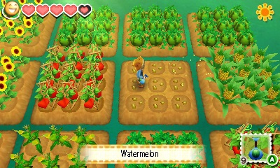 Nintendo Story of Seasons, 3DS Standard Fransk Nintendo 3DS