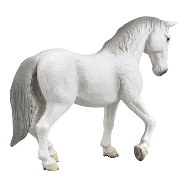 Mojo Fun Lipizzaner Mare