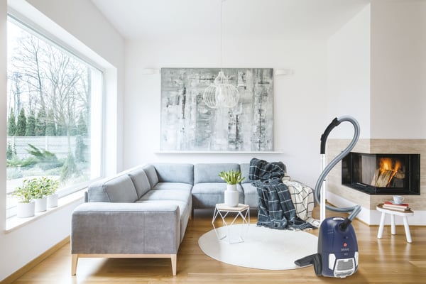 Hoover Brave BV60PET 011 2,5 L Beholder vakuum Dry 700 W Støvpose