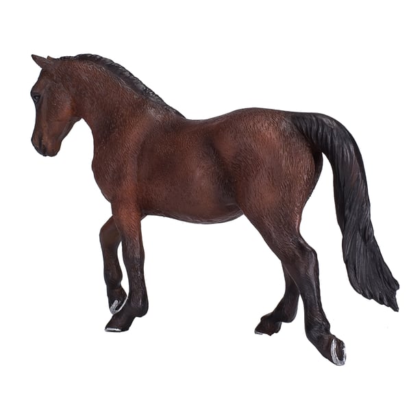 Mojo Fun Morgan Stallion Bay