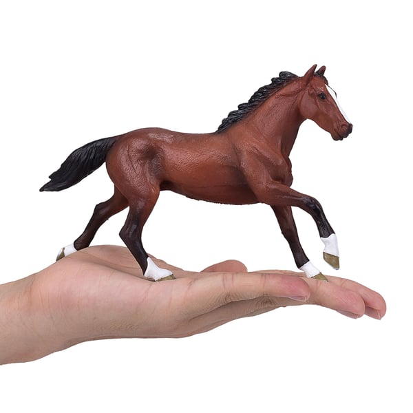 Mojo Fun Thoroughbred (Portugal)