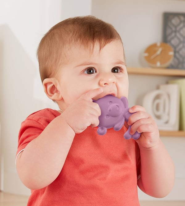 Fisher-Price JFJ96 bidering