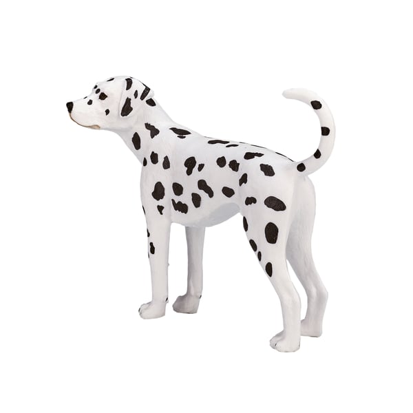Mojo Fun Dalmatian