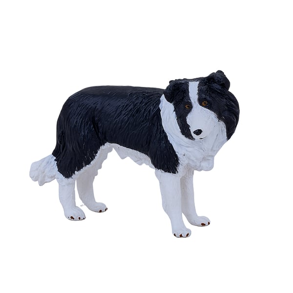 Mojo Fun Border Collie