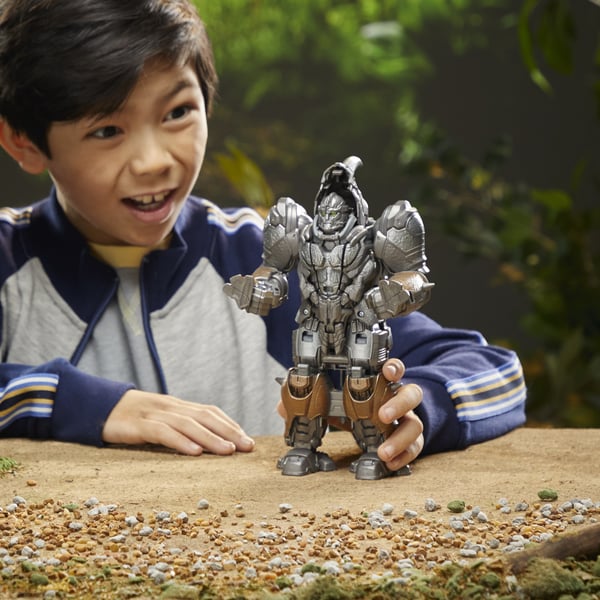 Transformers F46435X0 tansformer-lelu
