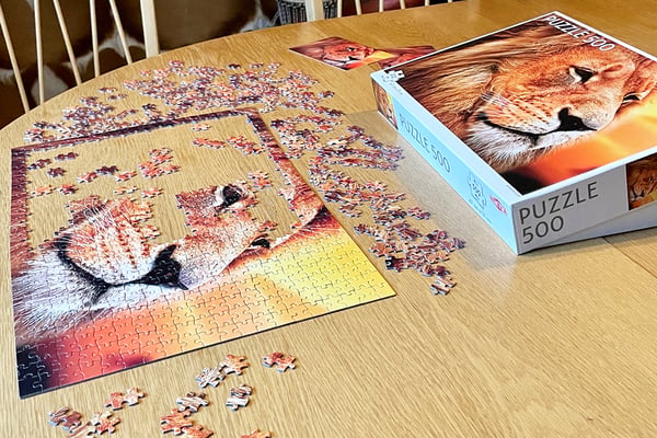 Tactic African Lion 500 pcs Pussel 500 styck Djur