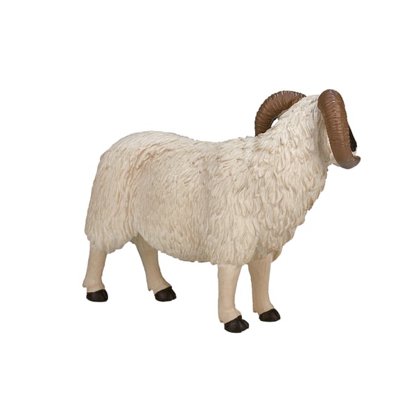 Mojo Fun Black Faced Sheep (Ram)