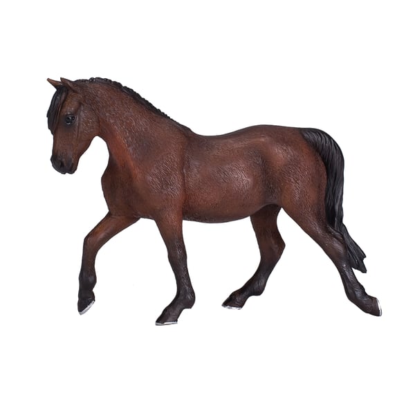 Mojo Fun Morgan Stallion Bay