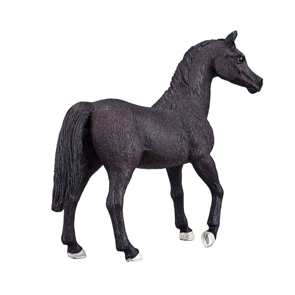 Mojo Fun Arabian Stallion Black