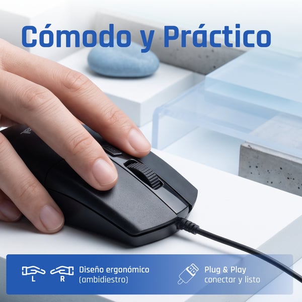 iggual COM-BUSINESS2-2400DPI mus Hjem Ambidextrous USB Type-A Optisk