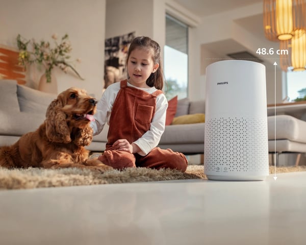 Philips 1000 series AC1711/10 Luftrenare för medelstora rum