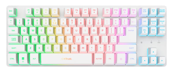 Trust GXT 882 tangentbord Mus inkluderad Hem / Kontor Trådlös RF + USB AZERTY Fransk Vit