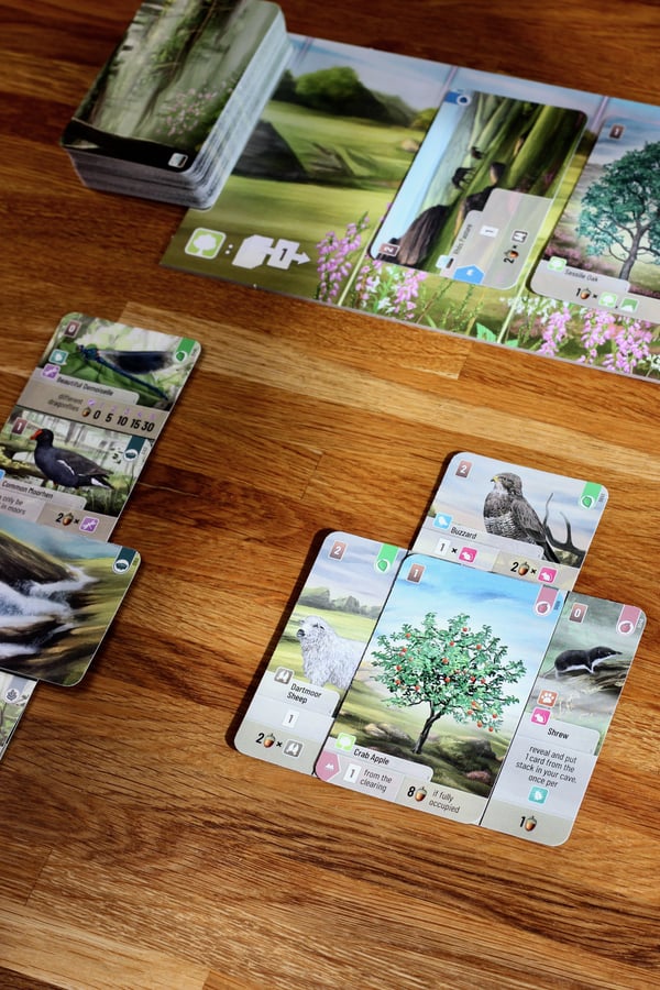 Asmodee Forest Shuffle Dartmoor Forest Shuffle Dartmoor Kortspil