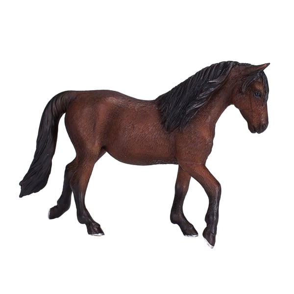 Mojo Fun Morgan Stallion Bay
