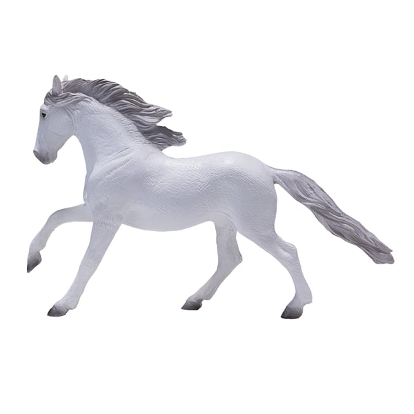 Mojo Fun Lusitano