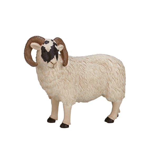 Mojo Fun Black Faced Sheep (Ram)