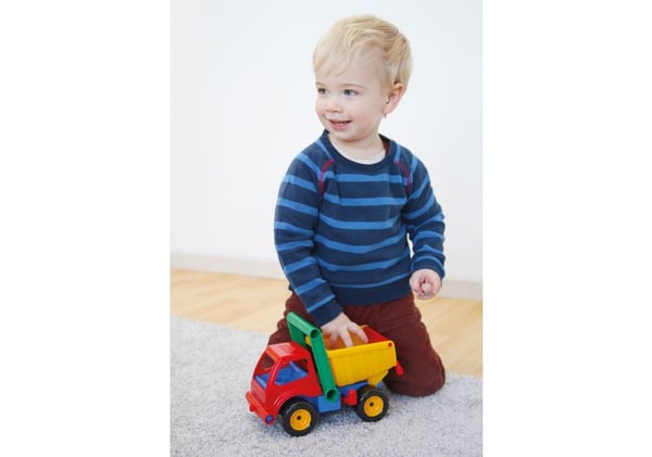 Lena Active Dump truck