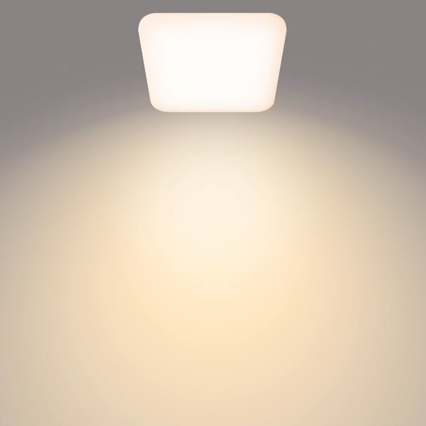 Philips Funktionel Loftslampe