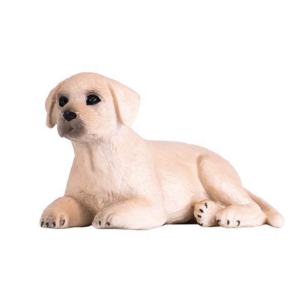 Mojo Fun Labrador Puppy